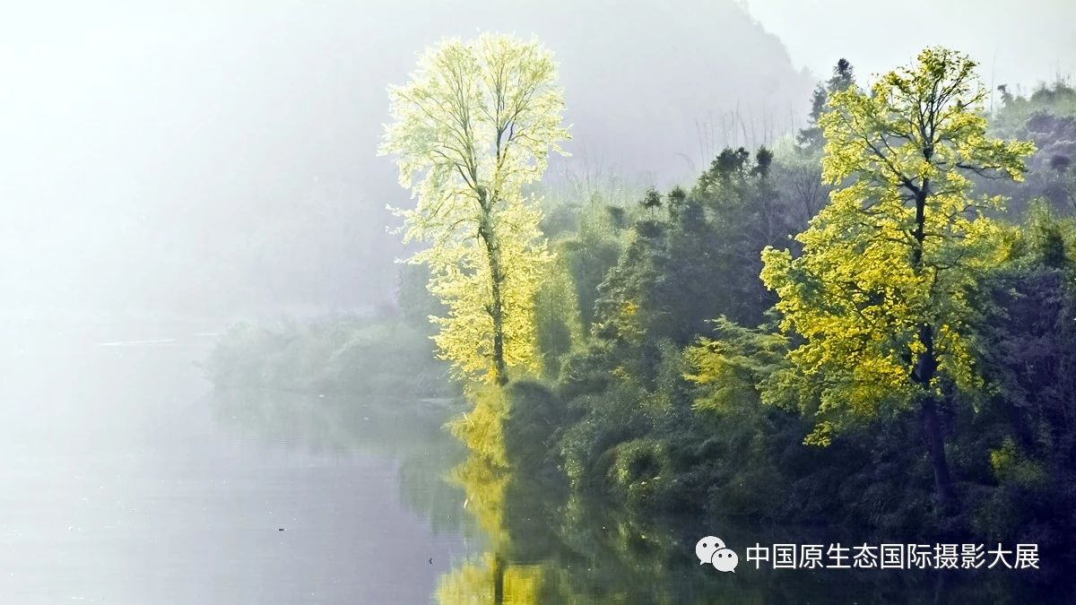 春雨至，万物生